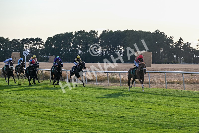 140826-Race 4-Raging Raj-1294 - Race 4 19.18pm Andrew Seaton Celebration Cup Handicap