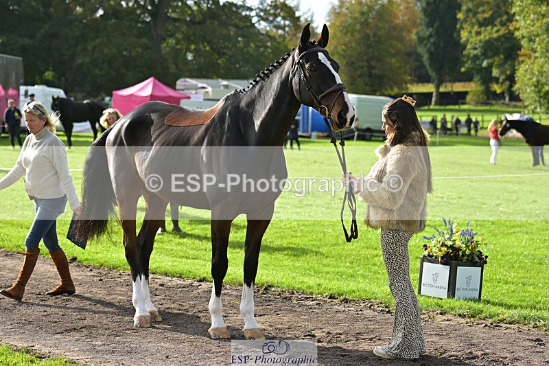 241023-132318-00251 - 016-Liberty.Smith-MODEL.T