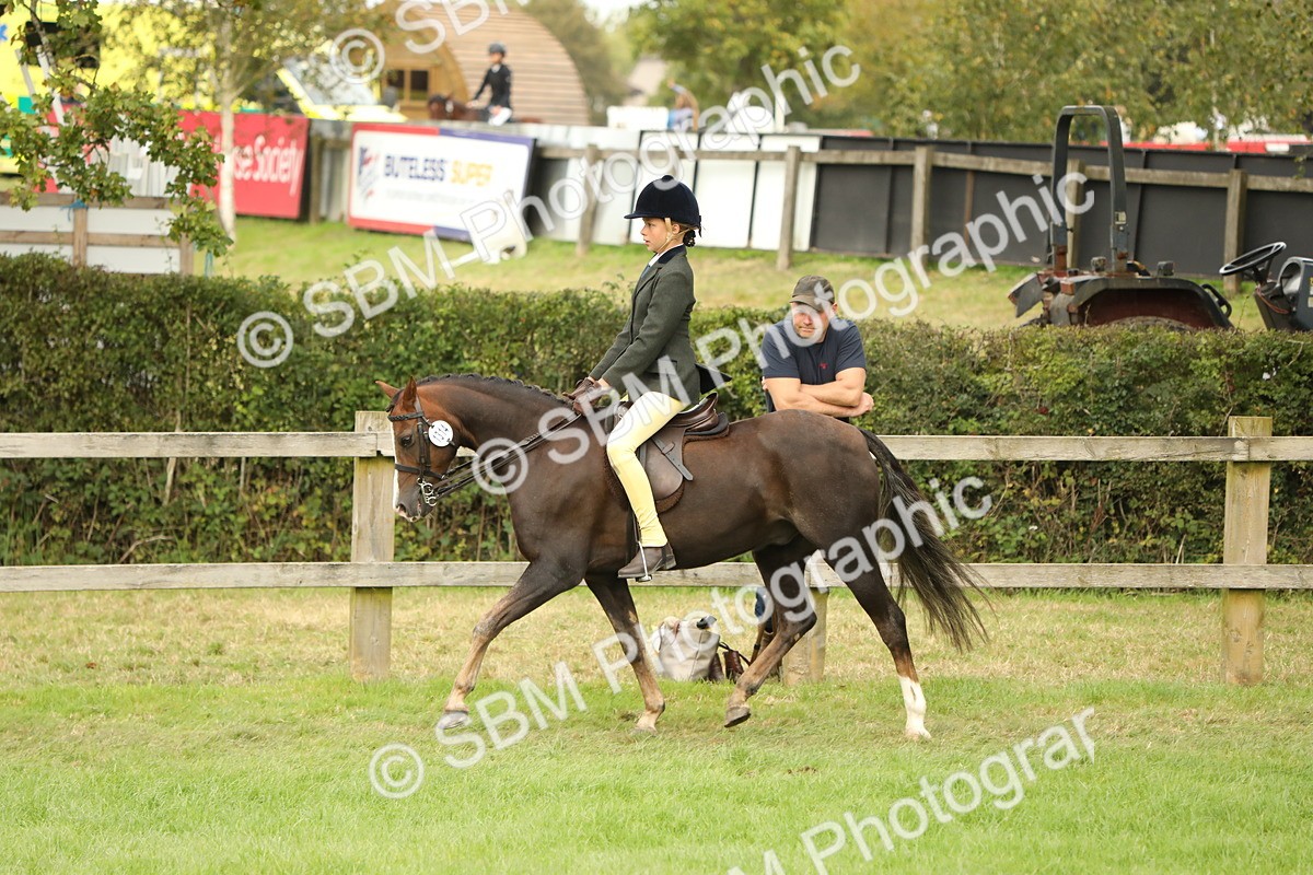 SBM_71659 - S41 - Ridden Equitation (Best Rider)