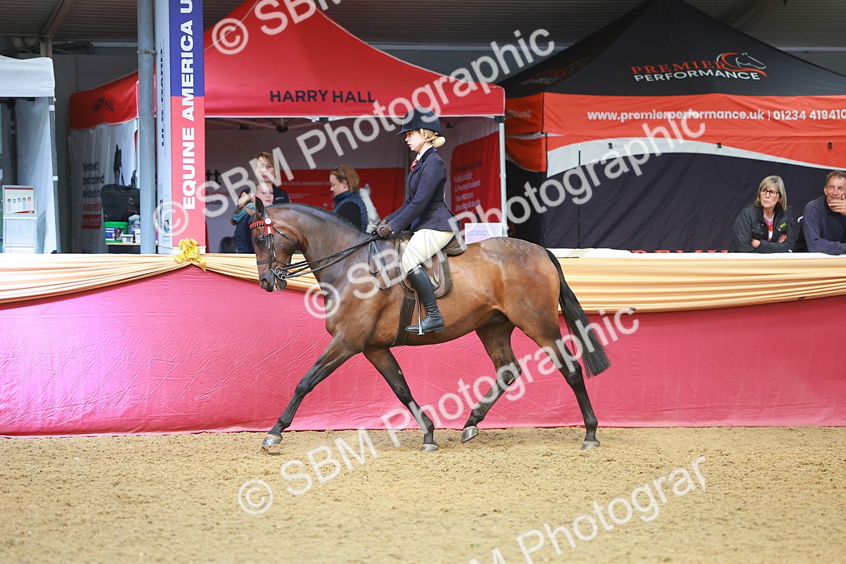 SBM_10626 - Class 103 - HOYS Veteran Qualifier - Ridden Pre Vet