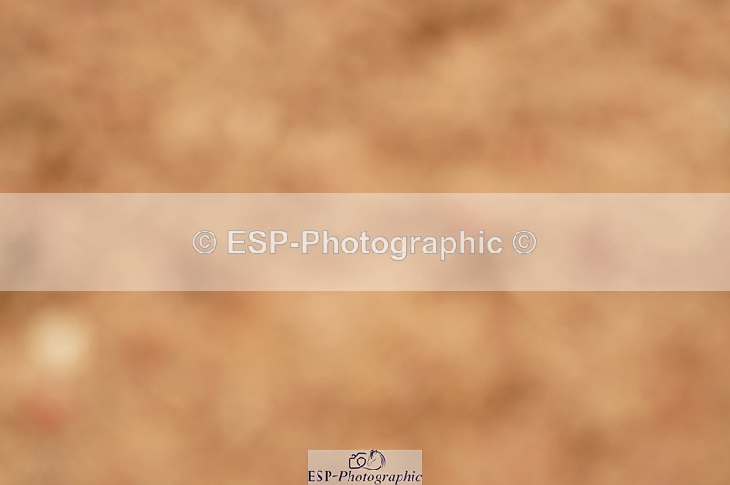 240526A-114550-07889 - Cls 26 Chard Equ 1.05m and 1.10m Grand Prix