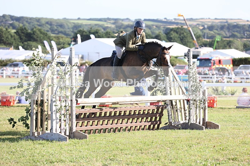 JPP_3141 - Class 21: Working Hunter 80cm