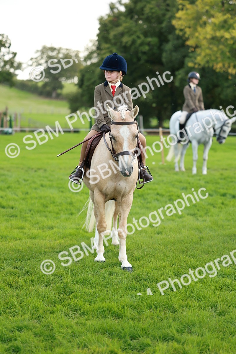 SBM_28851 - S7 - Novice & Newcomer Ridden Pony