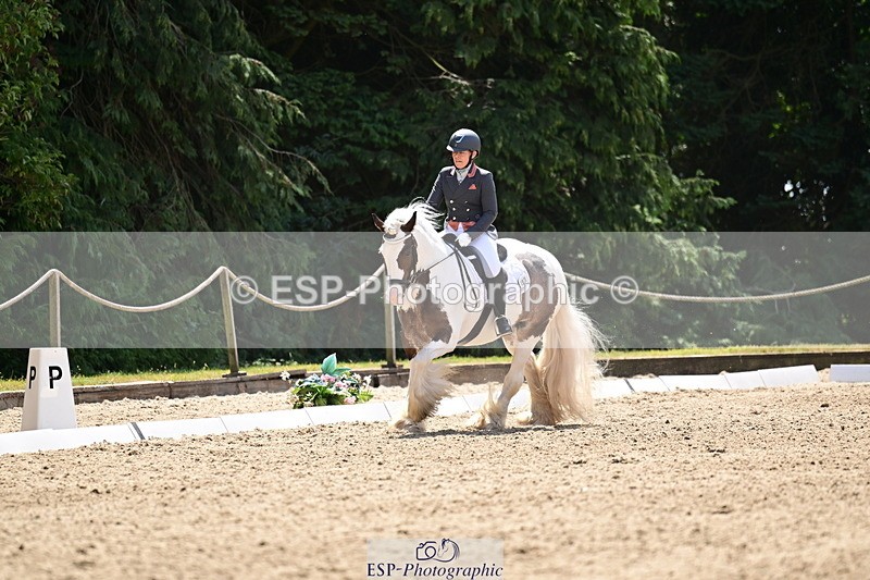 260802A-123459-06282 - Novice Silver break- end