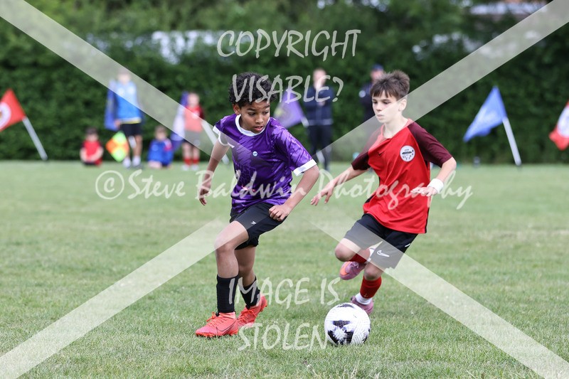 1DX31328 - Brook Field V Goddard Park