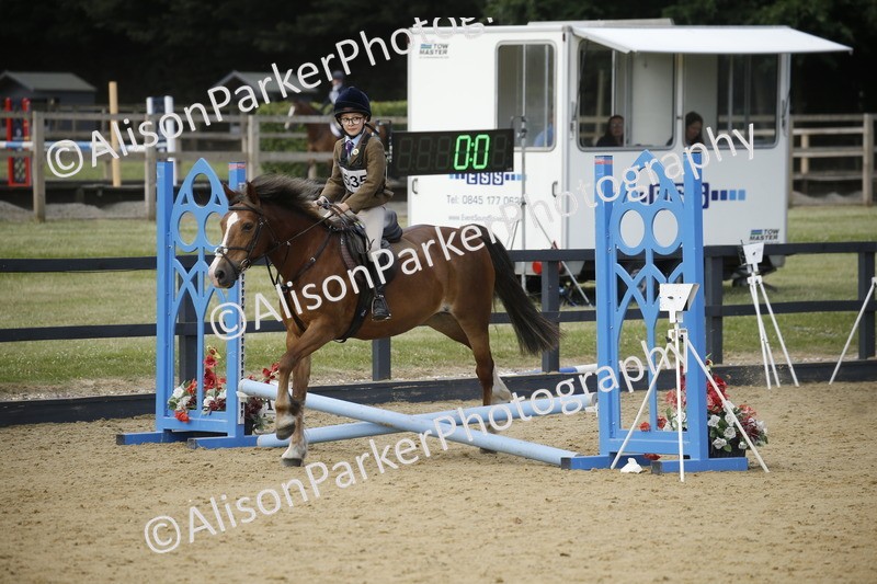 20250622-1591 - 40cm