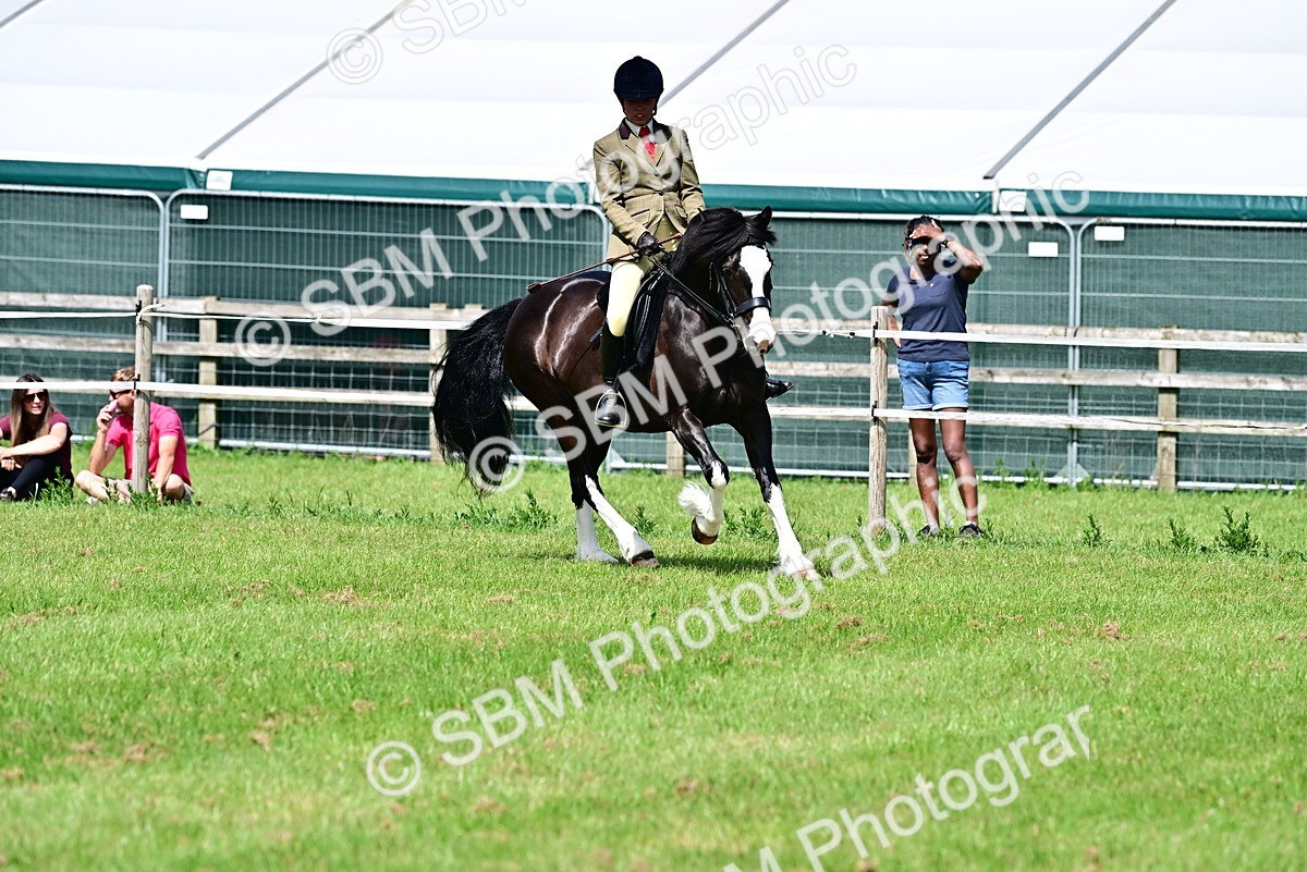 SBM_03828 - Class 58 - TSR  Ridden Veteran Amateur of the year
