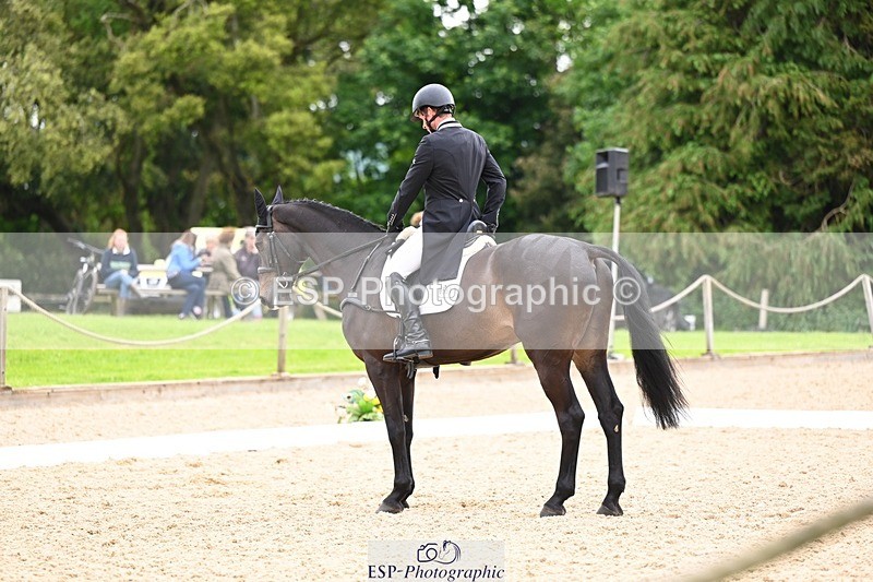 240524-093854-07936 - 507-DASSETT_ROCK_STAR-Tom_D_Crisp