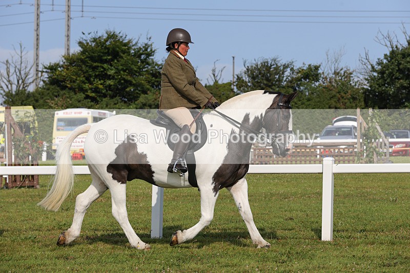 1X9A3209 - Class 28: Ridden Native/Trad Coloured Pony