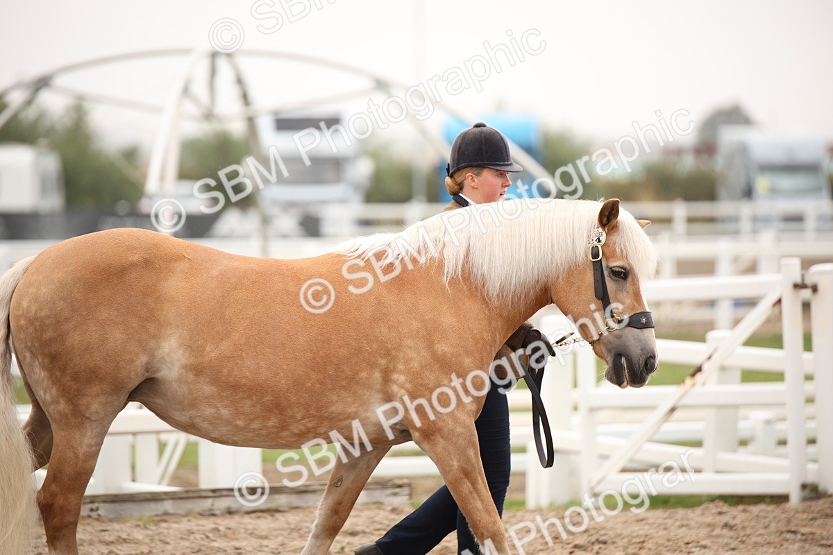 SBM_19313 - Class 701 - Best Turned Out IH & Ridden
