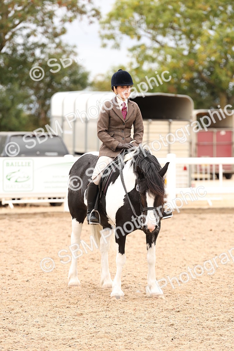 SBM_19708 - Class 216 - Ridden Traditional - Native Cob