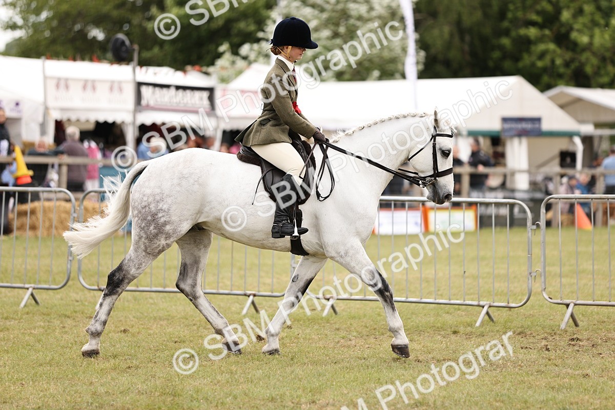 SBM_14635 - Class 88-89 - LIHS BSHA Rising Star of Ridden Hunter Type