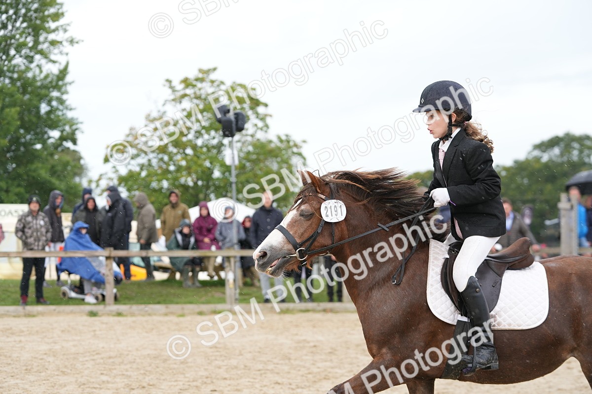 SBM_39728 - J6 - Junior Pony 55cm Championship