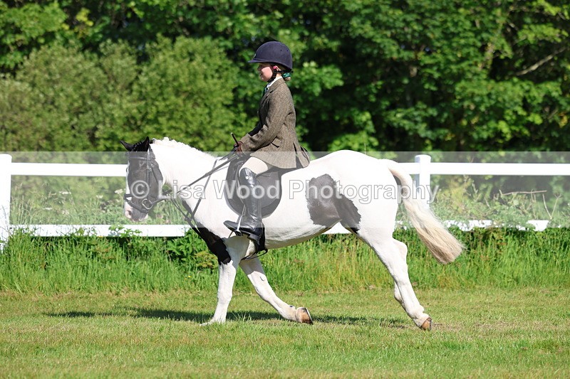 3E7A5999 - Class 27: Novice Working Hunter Pony