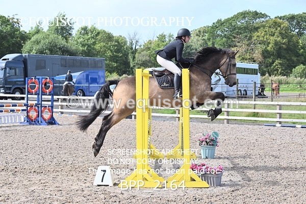 BPP_2164 - CLASS 2  FRI British Novice/ 90cm Open