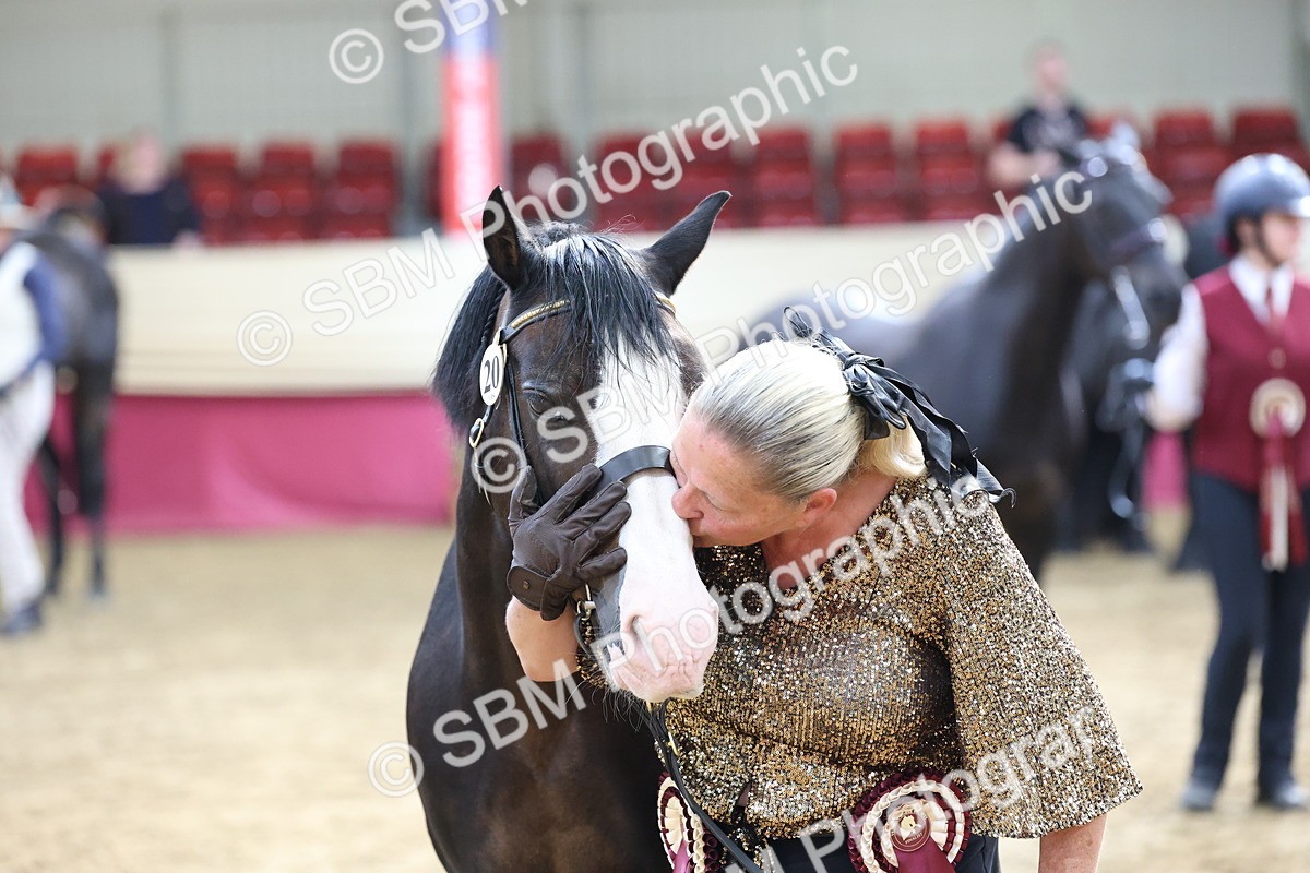 SBM_22593 - Class 902 - Supreme Final - IH Diamond