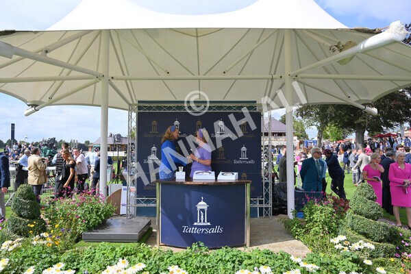 yr18082021r2-43 - Race 2 2.25pm Tattersalls Acomb Stakes