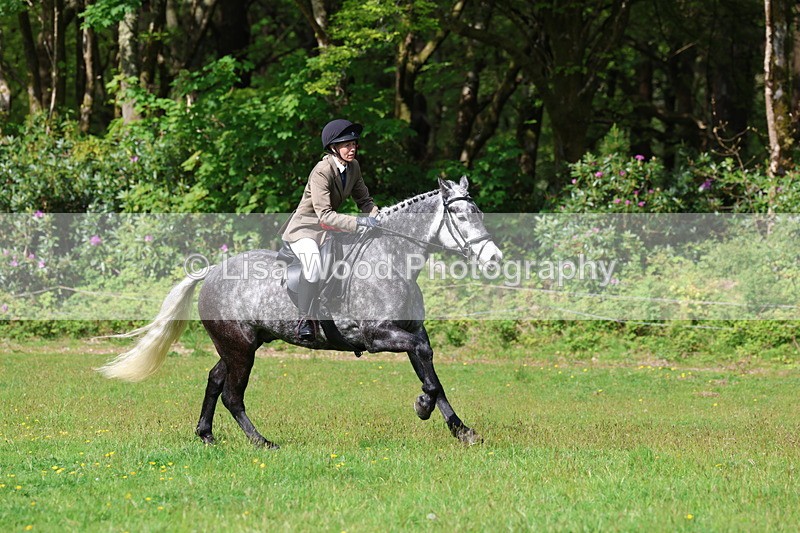 3E7A2689 - Working Hunter Championship