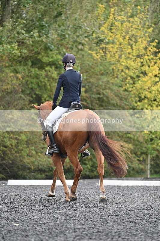 WJ7_6661 - Time 14:49 to 15:14