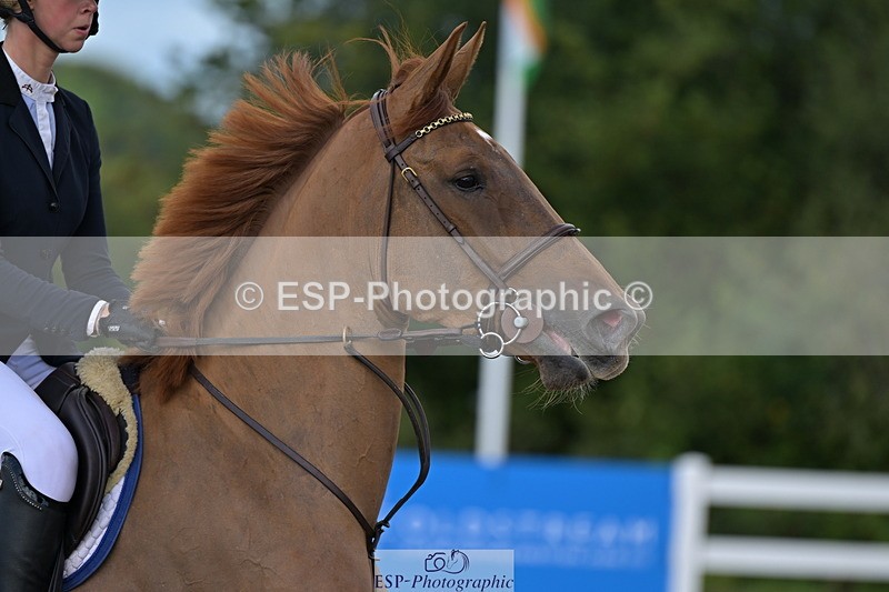 240912A-100101-00869 - Cls 8 Snr British Novice and 90cm Open