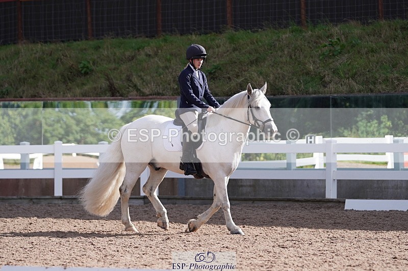 240809A-093104-00251 - Dressage Competition