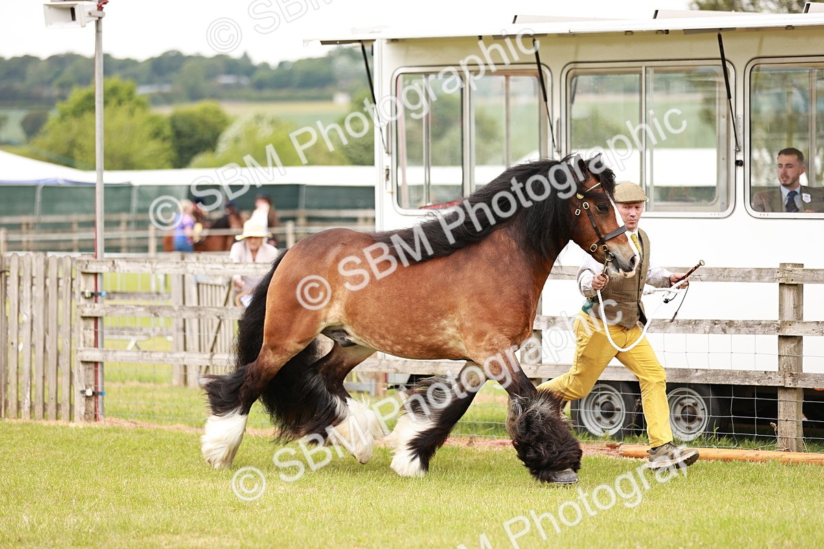 SBM_06014 - Class 39-41 TGCA In Hand and Ridden