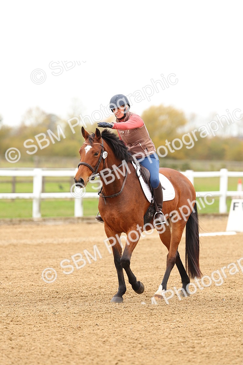 SBM_000187 - Class 2-11 - CT Intro 3 60cm - DR Intro 3
