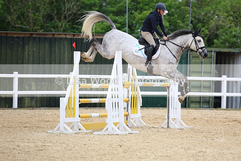 3E7A9660 - Class 9: Senior Foxhunter/1.20 open