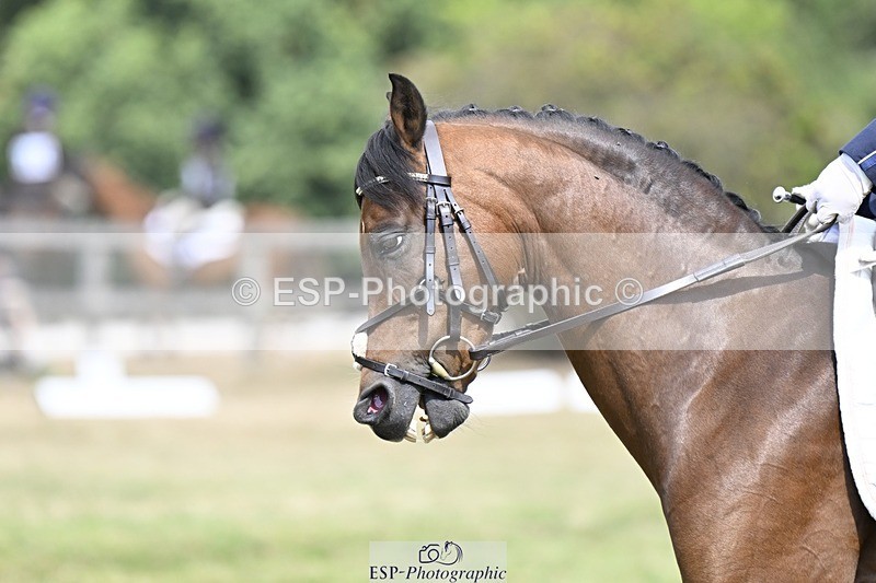 250822A-114104-22337 - DR 11.00 to 12.00