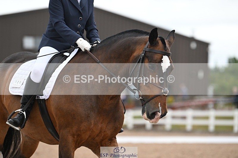 250705-175533-03114 - N3 Section BDNOV3 15.55 to 17.19