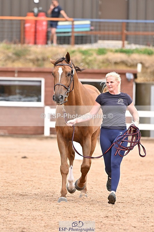 250716-154110-02114 - Trot Up 3.30 to 4.30