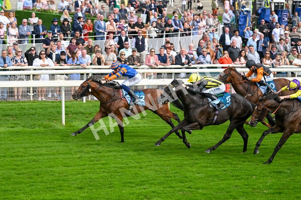 080925-Race 4-Zain Blue-7626 - Race 4 4.00pm Sky Bet Extra Places Middle Distance Handicap