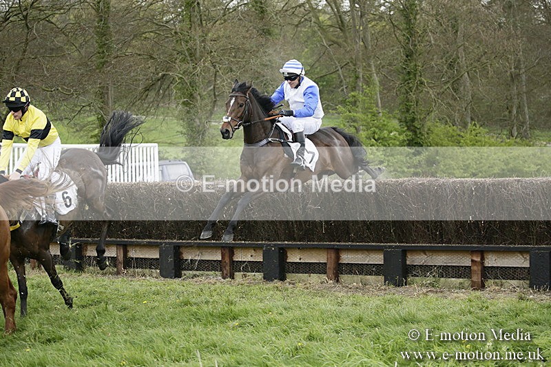 PtP 170417 516 - Old Berks Point-to-Point Lockinge 17/04/17