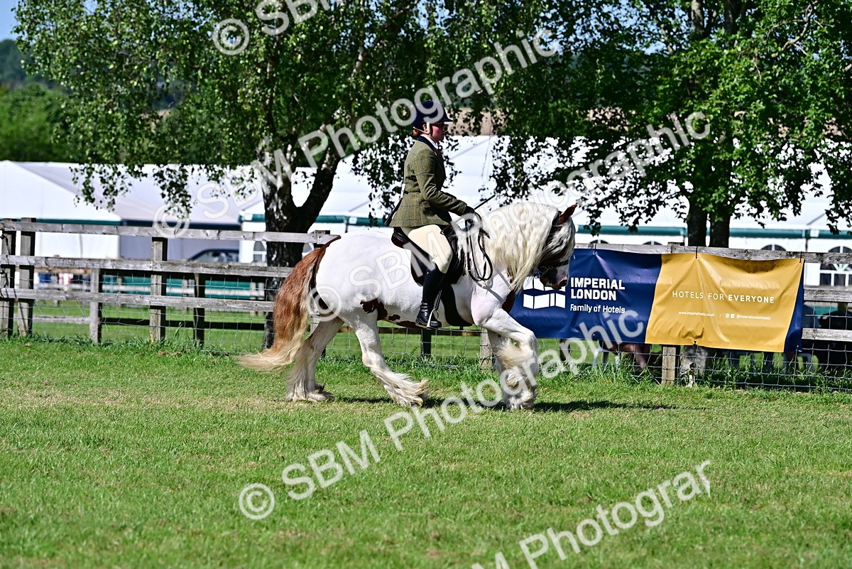 SBM_19365 - Class 101-102 - BSPS LIHS Performance Coloured Horse/Pony