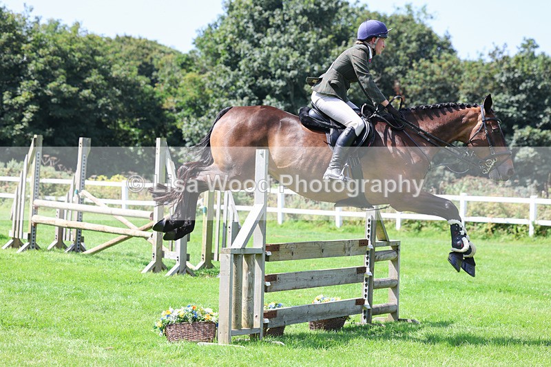 3E7A8918 - Class 6: Open Working Horse