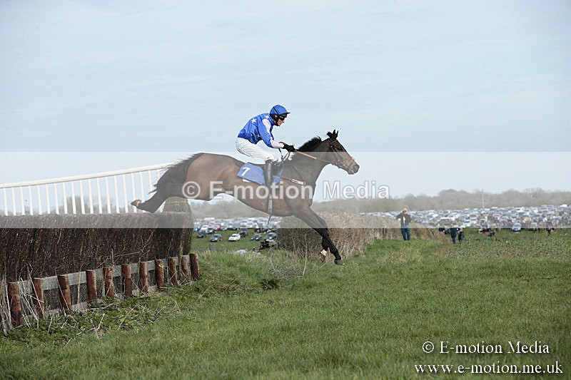 PtP 230319 372 - VWH Hunt Siddington Point-to-Point Racing 23/03/19