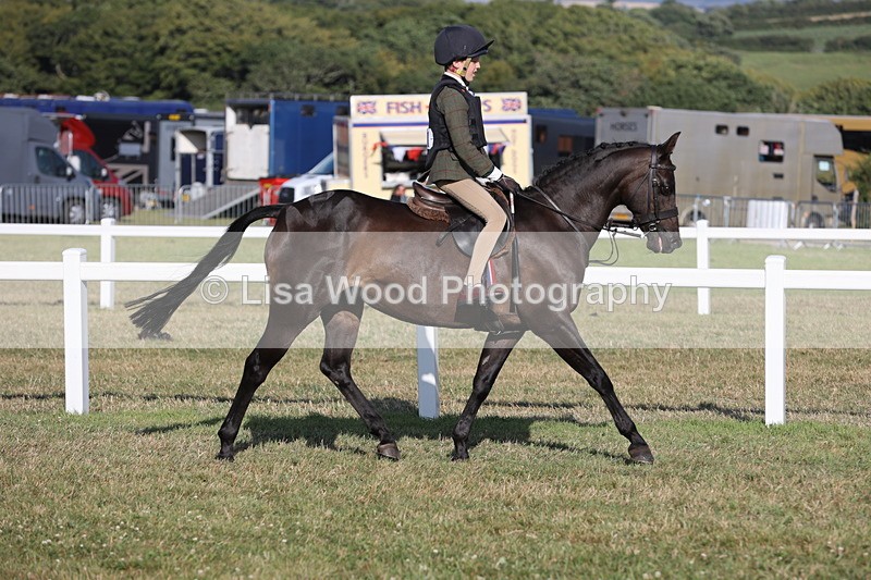 JPP_3275 - Class 21: Working Hunter 80cm