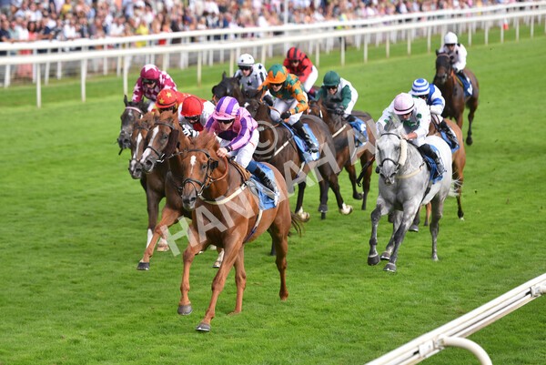 yr23072021r2-30 - Race 2 6.30pm IRE-Incentive It Pays To Buy Irish Stakes