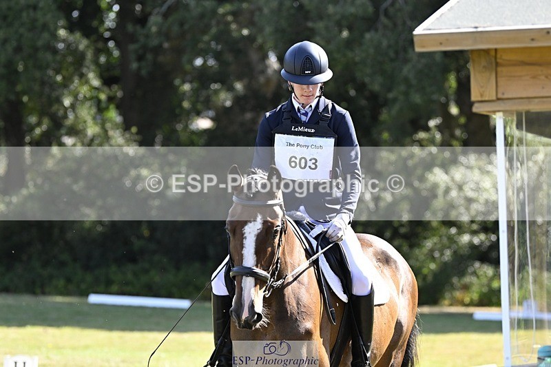 250822A-102754-20249 - DR 10.00 to 11.00