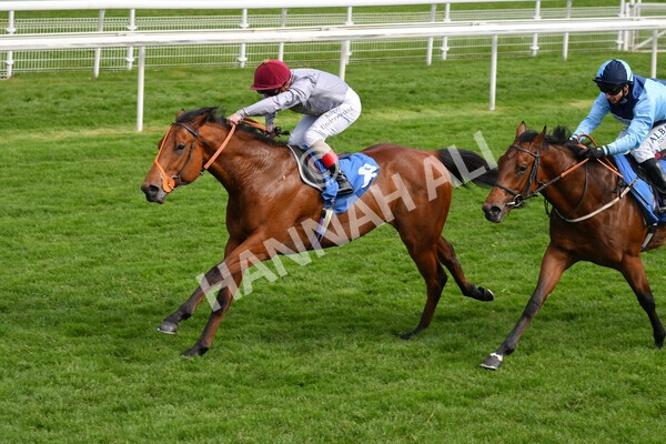 yr13052021r6-34 - Race 6 4.15pm Constant Security EBFstallions.com Maiden Stakes
