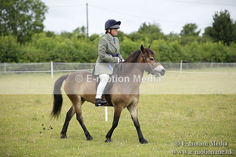 BVR160717-83 - Ring 1 BVRC Show 16/07/17