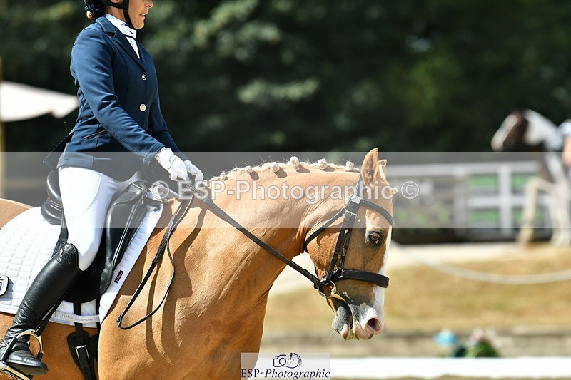260801A-110121-03353 - Premin Silver Start - 11.35