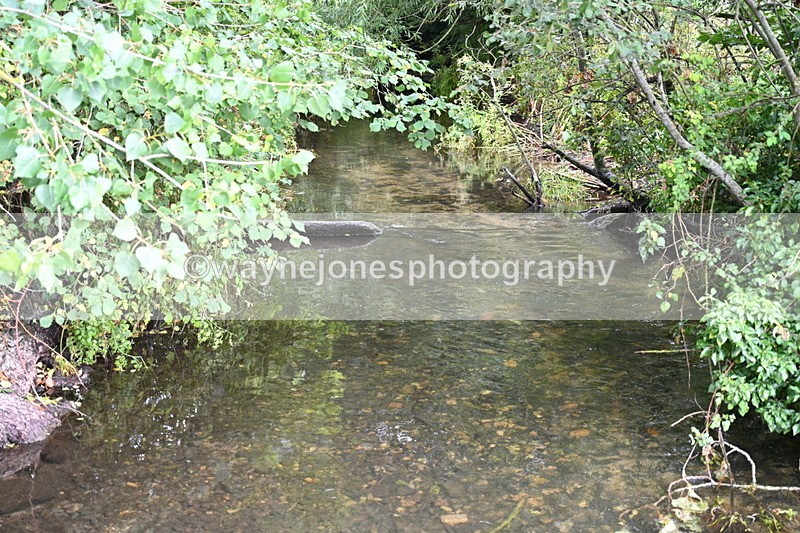 WJ7_8308 - Group 1