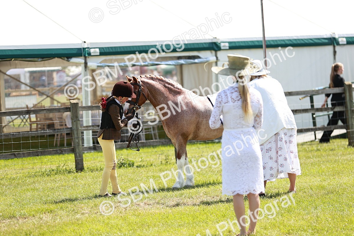 SBM_13525 - Class 108-109 - BSPS LIHS Open Gradle & Nursery Stakes