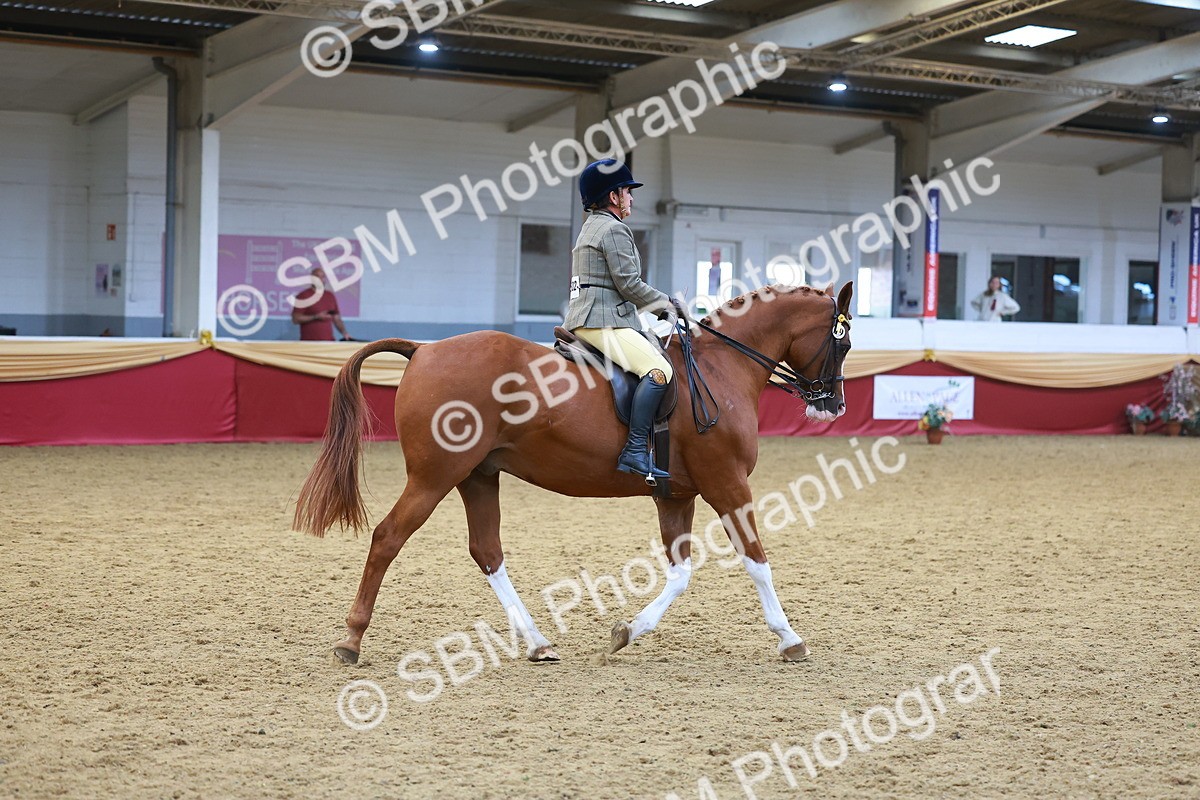SBM_06090 - Class 12R - Ridden Pre-Vet