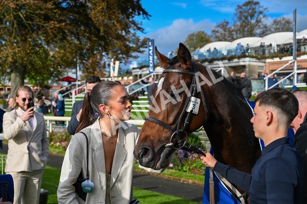 141023-Race 4-Colorada Dancer-9032 - Race 4 3.05pm Coral Racing Club EBF Maiden Stakes