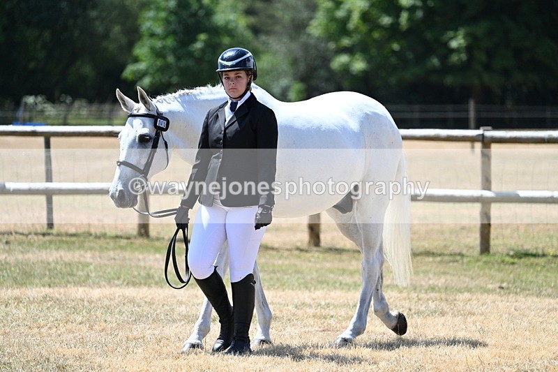 WJ7_2330 - Class 5a Most Handsome Gelding in hand (above 14.2hh)
