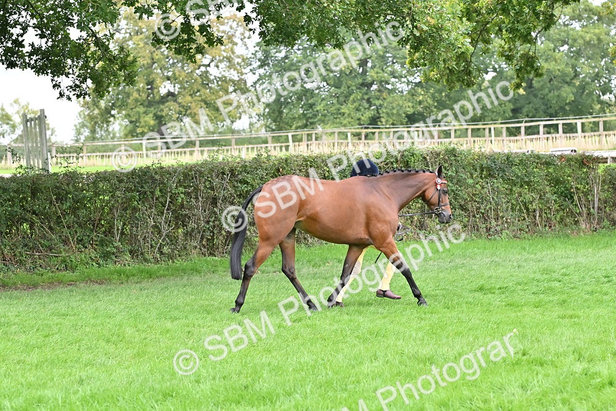 SBM_64937 - S50 - Show Pony & Show Hunter Pony In Hand