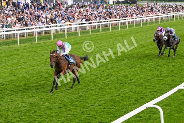 170524-Race 5-Lead Artist-8323 - Race 5 4.15pm  Darley EBF Novice Stakes