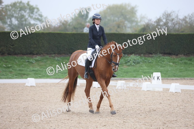 20251012-0540 - Class 4 - Novice 6